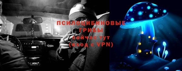 гидропоника Михайловка