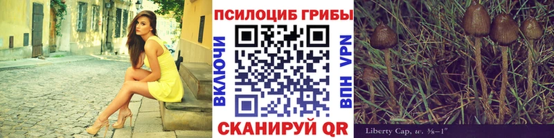 Псилоцибиновые грибы Psilocybe  Барыш 